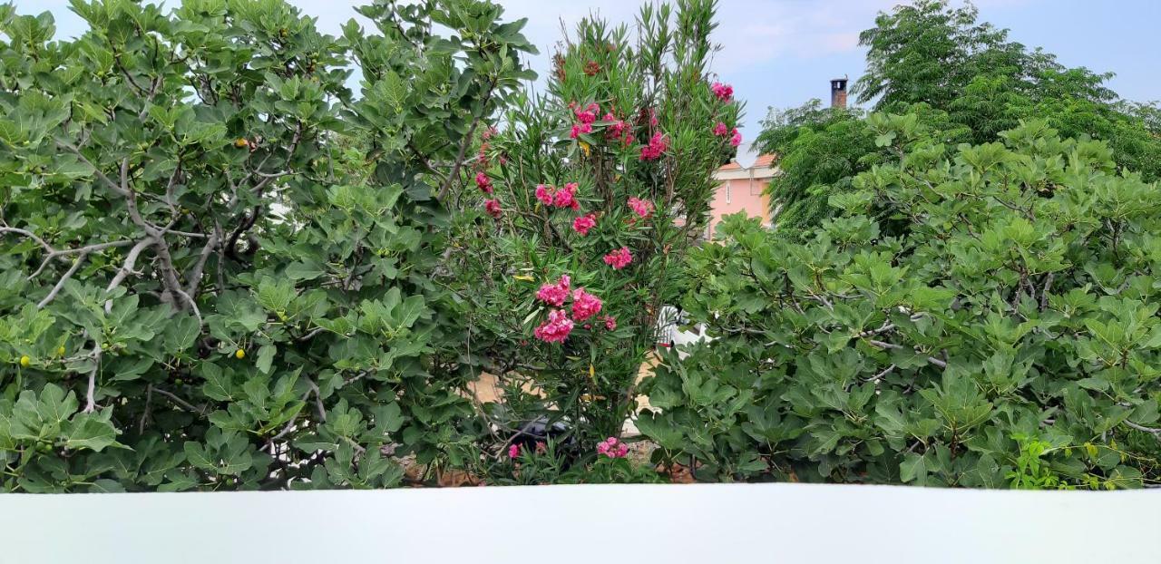 Apartments Max Вир Екстериор снимка